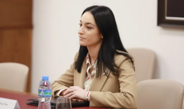 “Pritshmëritë janë shumë të larta”, zv.ministrja: Çfarë do të diskutohet në Samitin e Diasporës