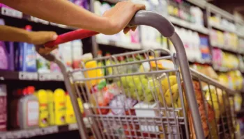 Shporta e shkurtit, si po ndryshojnë çmimet (rritje për zarzavatet dhe frutat)