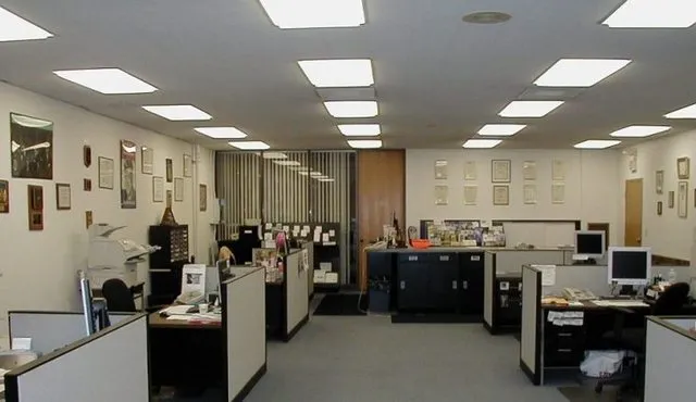 Të gjithë duan të punojnë në shtet në Shqipëri/ Raporti i DAP për 2025 tregon rritje të ndjeshme të interesit