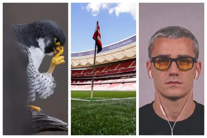 “Thumbat” e Atlético-s ndaj Barcelonës: Na pëlqen aroma e barit të sapoprerë në mëngjes…