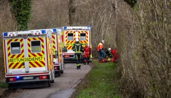 Tragjedi në Gjermani! Pema rrëzohet nga era e fortë, 3 viktima në festën e Pashkëve