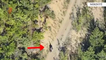 U ndoq me dron nga lartësia/ Kultivonte fidanë kanabisi, arrestohet i riu në Mirditë