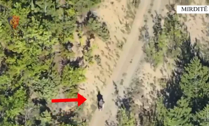 U ndoq me dron nga lartësia/ Kultivonte fidanë kanabisi, arrestohet i riu në Mirditë