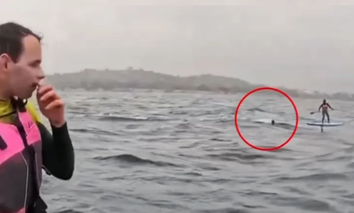 VIDEO/ Ndjekje e frikshme në det, peshkaqeni 4 metra i gjatë terrorizon sërfistin në Kaliforni