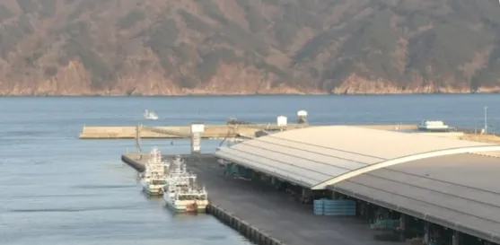 VIDEO / Tërmet i fuqishëm në Japoni, paralajmërim për cunami në bregdetin verilindor