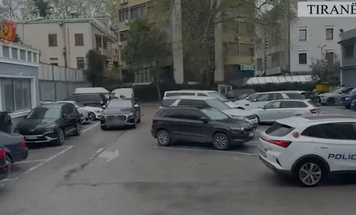 Vodhën automjete luksoze në Gjermani e Zvicër, procedohen 2 persona