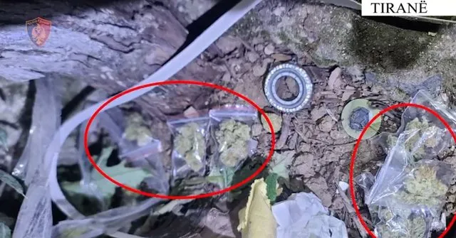 Zbulohen 258 doza kokainë dhe 8 hashash në Tiranë, në pranga 2 persona
