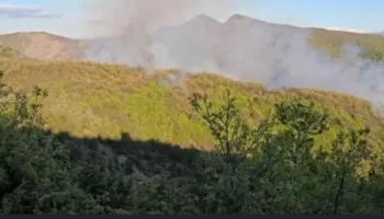Zjarr masiv në zonën pyjore në Mirditë, shkak qirinjtë e ndezur në varreza