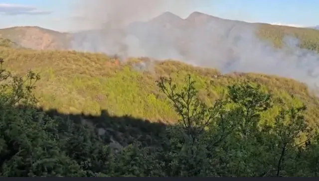 Zjarr masiv në zonën pyjore në Mirditë, shkak qirinjtë e ndezur në varreza