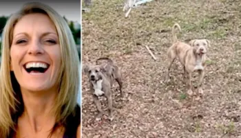 50-vjeçarja tentoi të shpëtonte qenin e saj, por u sulmua nga dy pitbullë. Ndërron jetë në spital