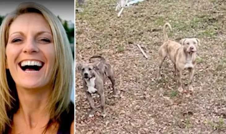 50-vjeçarja tentoi të shpëtonte qenin e saj, por u sulmua nga dy pitbullë. Ndërron jetë në spital
