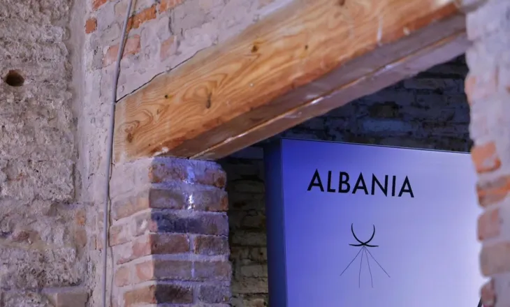 Bienalja e Venecias 2026/ Shqipëria prezantohet me “A Place in the Sun”: Një pavijon që rishkruan kufijtë e identitetit përmes artit bashkëkohor