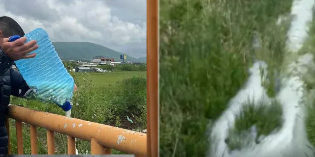 Çmimi bie nga 48 në 27 centë për litër, fermerët e hedhin qumështin në kanal