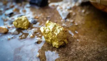 Depozita të mëdha ari zbulohen në Finlandë pranë kufirit me Rusinë