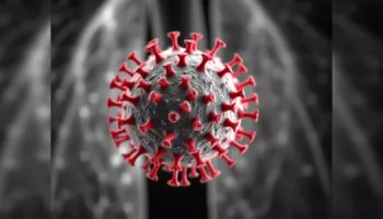 Deri në 8 javë intubim dhe 6 muaj simptoma. Zbulohet çfarë ndodh pas infektimit me Hantavirus