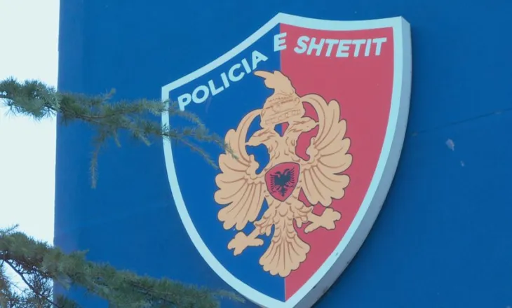 “Dhjetëra raste kriminale të goditura”/ Policia publikon shifrat e prillit, 90 operacione dhe 571 të arrestuar