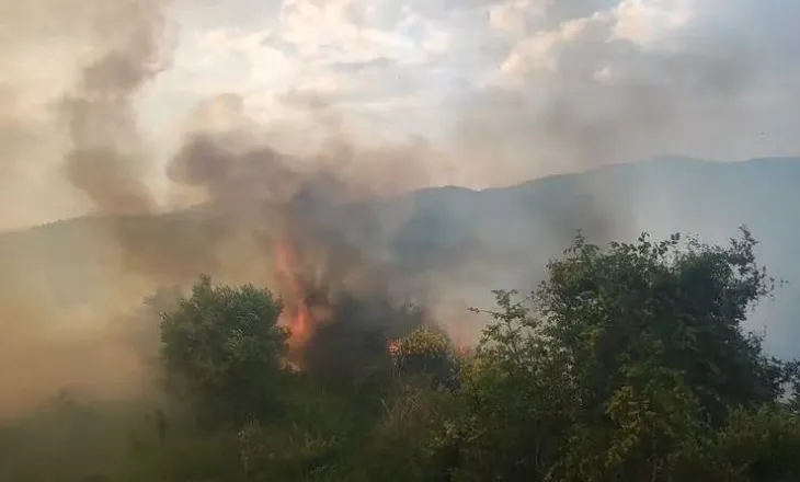 Digjet nga zjarri një sipërfaqe me shkurre dhe ullinj në Hoshtimë të Vlorës, ndërhyjnë forcat zjarrfikëse