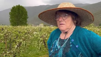 “Duan dëmshpërblim”/ Fermerët thirrje shtetit për ndihmë