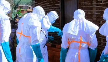DW/ Pse po përhapet Ebola?
