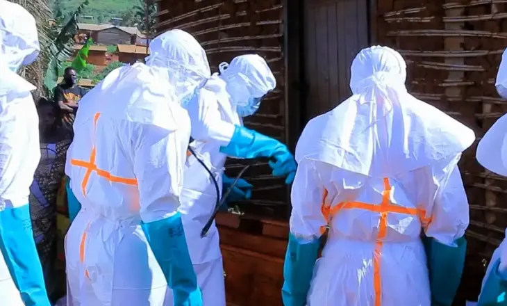 DW/ Pse po përhapet Ebola?