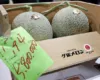 Dy pjepra të çmuar nga Japonia thyejnë rekordin në ankand, duke u shitur për…