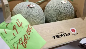 Dy pjepra të çmuar nga Japonia thyejnë rekordin në ankand, duke u shitur për…