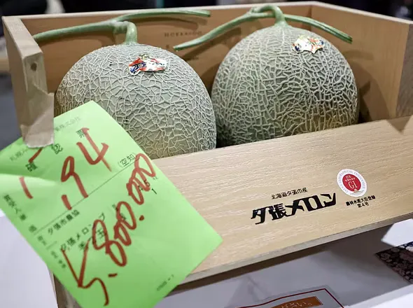 Dy pjepra të çmuar nga Japonia thyejnë rekordin në ankand, duke u shitur për…