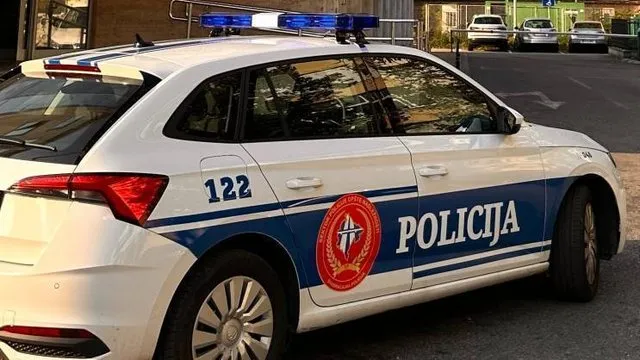 E rëndë/ “Çmendet” shqiptari nga  Kosova vret bashkëjetuesen e tij dhe më pas i vë flakën shtëpisë