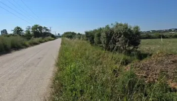 E rëndë në Fier/ 68-vjeçari gjendet i pajetë pranë rrugës, policia: Dyshohet për shkaqe natyrale