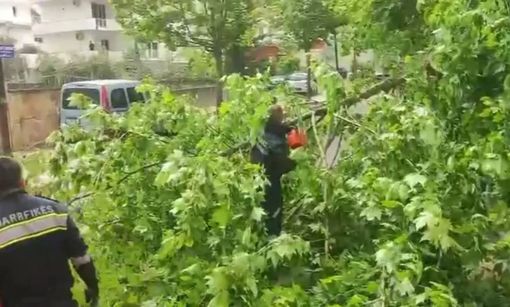 Era e fortë vijon të krijojë probleme në Vlorë, dy pemë rrëzohen dhe bllokojnë rrugët