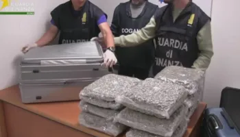 Eurojust zbardh operacionin Itali-Shqipëri: 12 të arrestuar për drogë, vrasje dhe pastrim parash