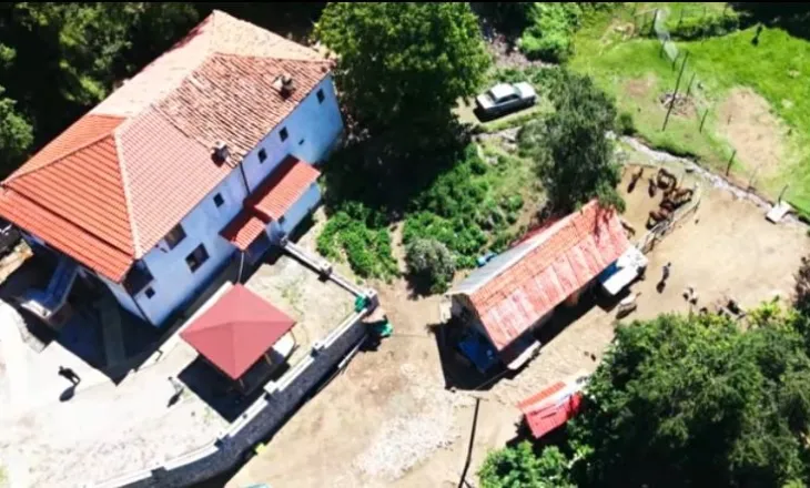 Ferma e gomaricave, biznesi që ktheu të riun nga emigrimi po korr sukses në Librazhd