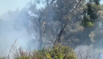 Flakët djegin sipërfaqe me pisha tek Rana e Hedhun