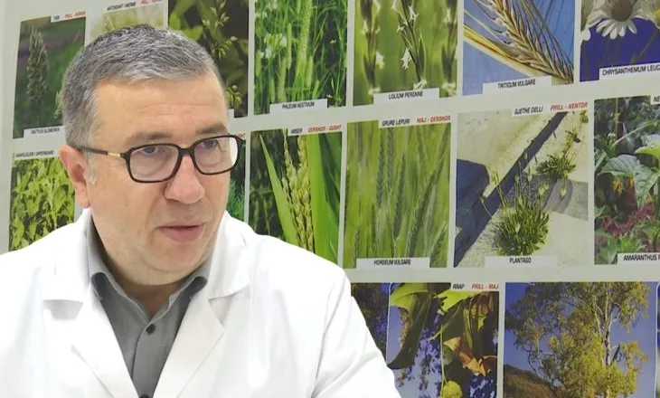 Fluks nga alergjitë e stinës/ Mjekët: 50 persona paraqiten çdo ditë në QSUT për trajtim