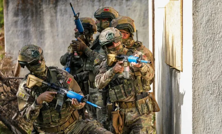 Forcat e armatosura shqiptare stërvitje me instruktorët e Forcave Speciale të SHBA-së, NATO publikon fotot