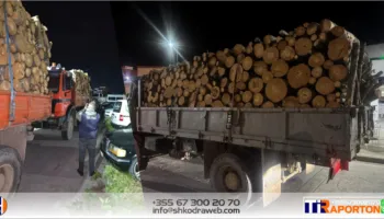FOTO – Transportonin lëndë drusore pa dokumentacion, IKMT dhe Policia Shkodër bllokojne 3 automjete