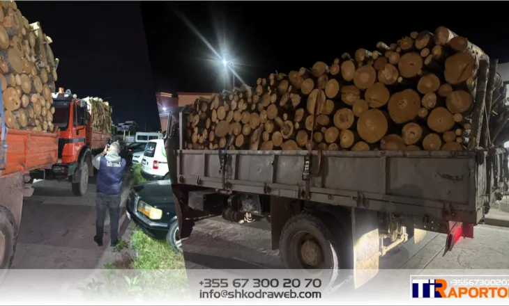 FOTO – Transportonin lëndë drusore pa dokumentacion, IKMT dhe Policia Shkodër bllokojne 3 automjete
