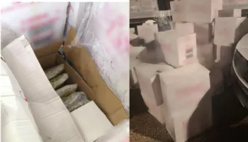 Goditet karteli i drogës në Greqi, kapen 500 kg kanabis në Igumenicë, arrestohet shoferi bullgar. Destinacioni ishte…