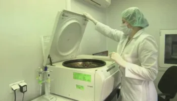 Hantavirusi, alarmi i ri. Anija ku po “shuhen” jetë, specialistët flasin për virusin