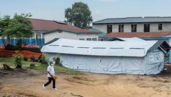 Hantavirusi mori vëmendje botërore, po nënvlerësohet Ebola, kreu i OBSH-së jep alarmin