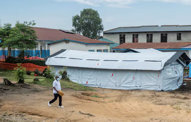 Hantavirusi mori vëmendje botërore, po nënvlerësohet Ebola, kreu i OBSH-së jep alarmin