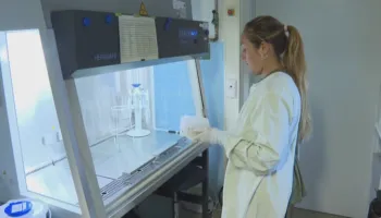 “Hantavirusi nuk është si Covid-19”, OBSH: Tre persona kanë vdekur, një në gjendje kritike