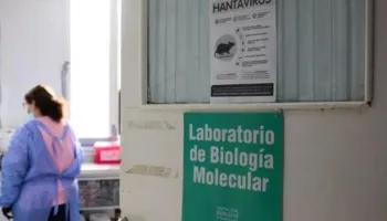 Hantavirusi/ Turistët britanikë të karantinuar në Milano rezultojnë negativë