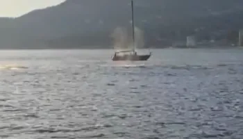 Jet ski përplaset me një balenë gri në Vankuver, plagoset drejtuesi