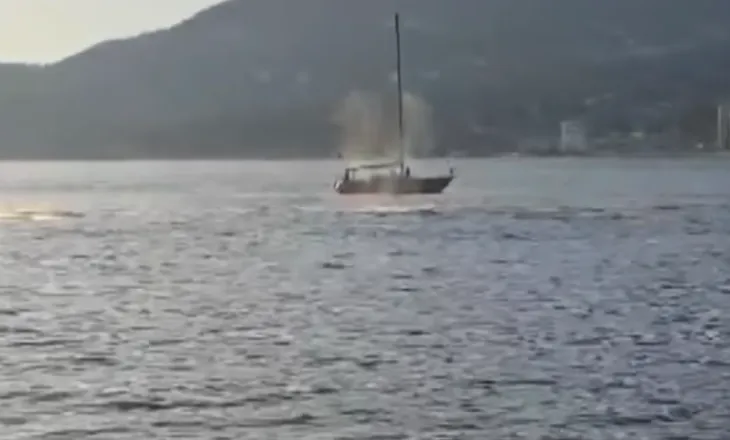 Jet ski përplaset me një balenë gri në Vankuver, plagoset drejtuesi