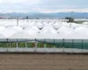 Kreditë për fermerët me pikëpyetje, ekspertët skeptikë për programin “dyfisho sipërmarrjen”, bankat kërkojnë garanci
