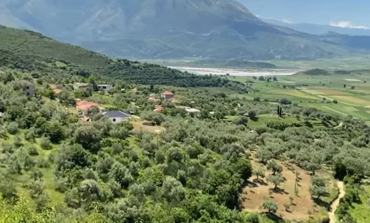Mbledhja e bimëve medicinale mban gjallë ekonominë e të moshuarve në Mallakastër: Pensioni s’na del!