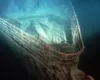 Misteri i shisheve të shampanjës në rrënojat e Titanikut, pse nuk u thyen në fund të Atlantikut