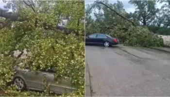 Moti i keq përfshin Durrësin, probleme në qarkullim dhe pemë të rrëzuara