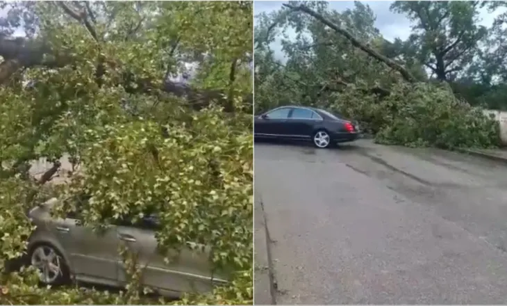 Moti i keq përfshin Durrësin, probleme në qarkullim dhe pemë të rrëzuara